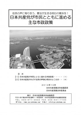 市政政策