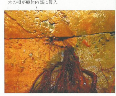 ⑩老朽化した防火水槽２