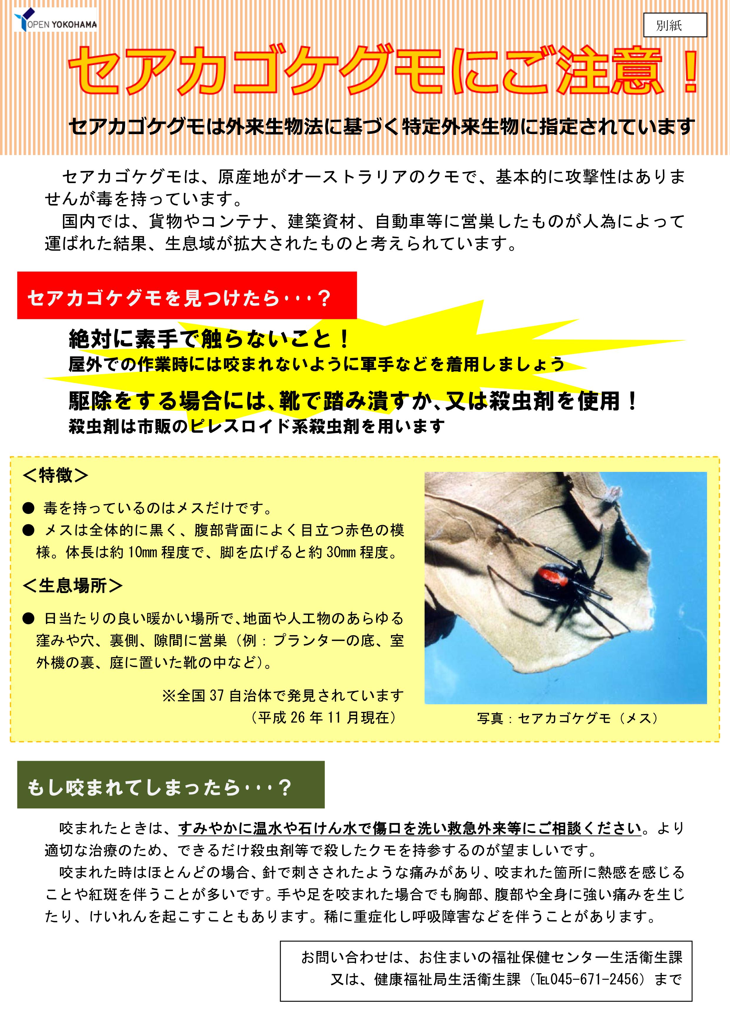 （別紙）セアカゴケグモにご注意！_01
