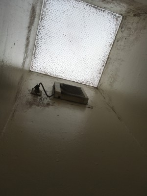 IMG_0363